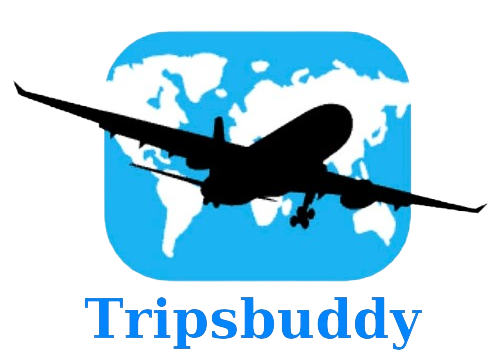 Tripsbuddy logo